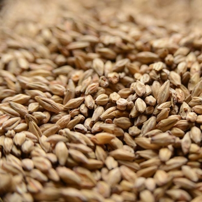 Picture of Gambrinus Honey Malt