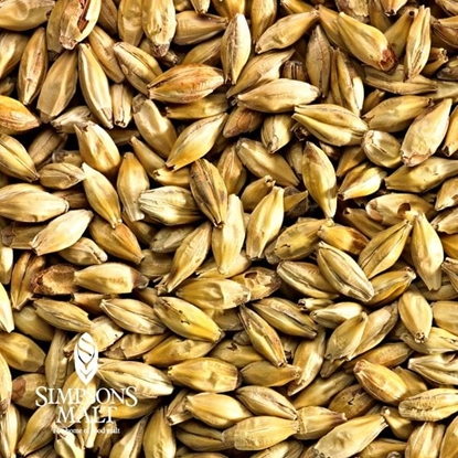 Picture of Simpsons Aromatic Malt