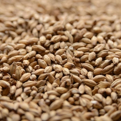 Picture of Simpsons Peated Malt