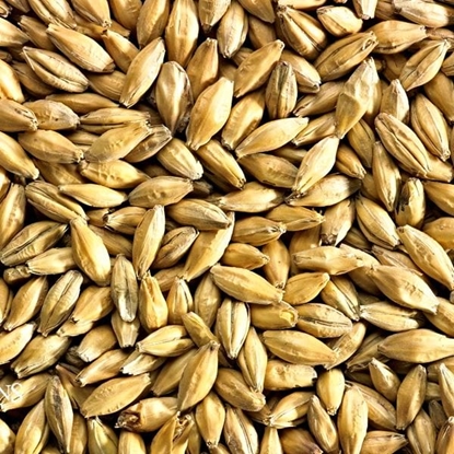 Picture of Simpsons Pilsner Malt