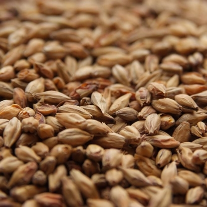 Picture of Weyermann® Abbey Malt®