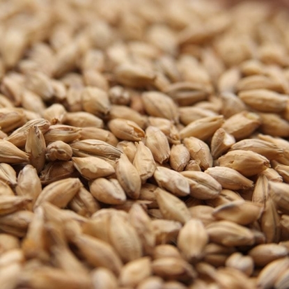 Picture of Weyermann® Bohemian Pilsner Malt