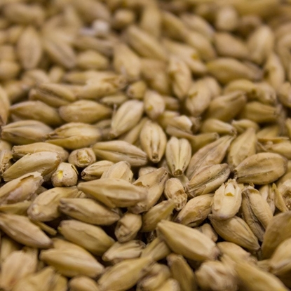 Picture of Weyermann® Extra Pale Premium Pilsner Malt