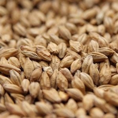 Picture of Weyermann® Floor-Malted Bohemian Pilsner Malt