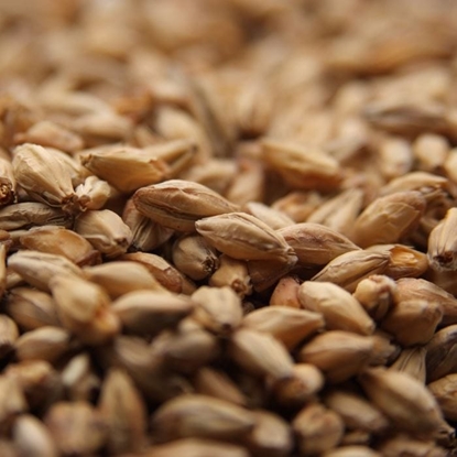 Picture of Weyermann® Munich Malt Type 1