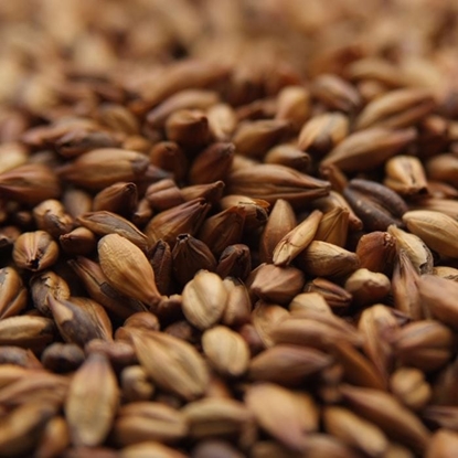 Picture of Weyermann® Munich Malt Type 2