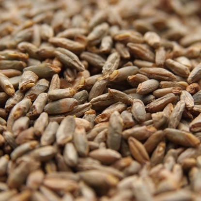 Picture of Weyermann® Pale Rye Malt