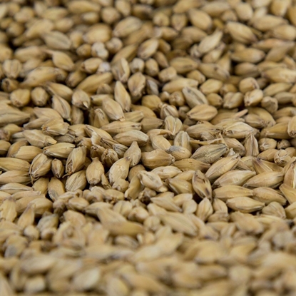 Picture of Gambrinus ESB Pale Malt