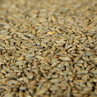 Picture of Gambrinus Rye Malt