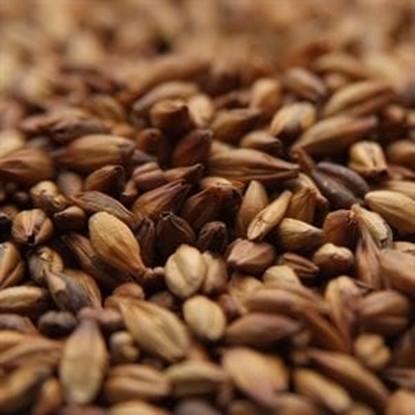 Picture of Weyermann® BIOLAND Munich Malt (Organic)