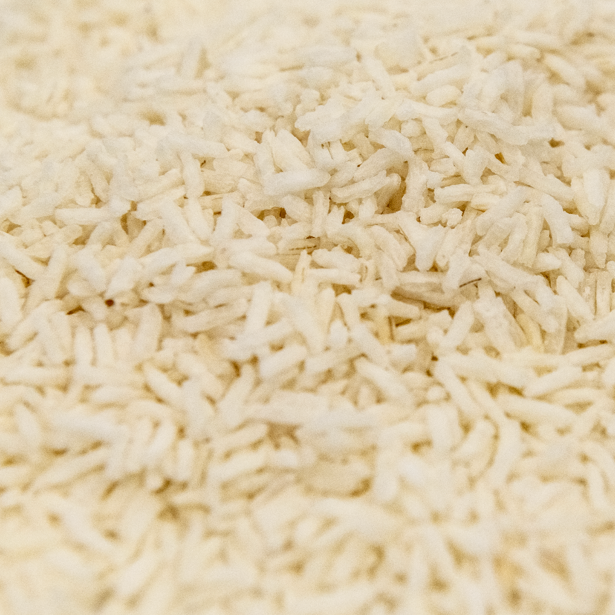 Picture of Instant Jasmine Rice 50 lb