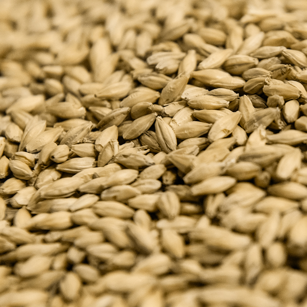 Picture of Gambrinus IPA Malt