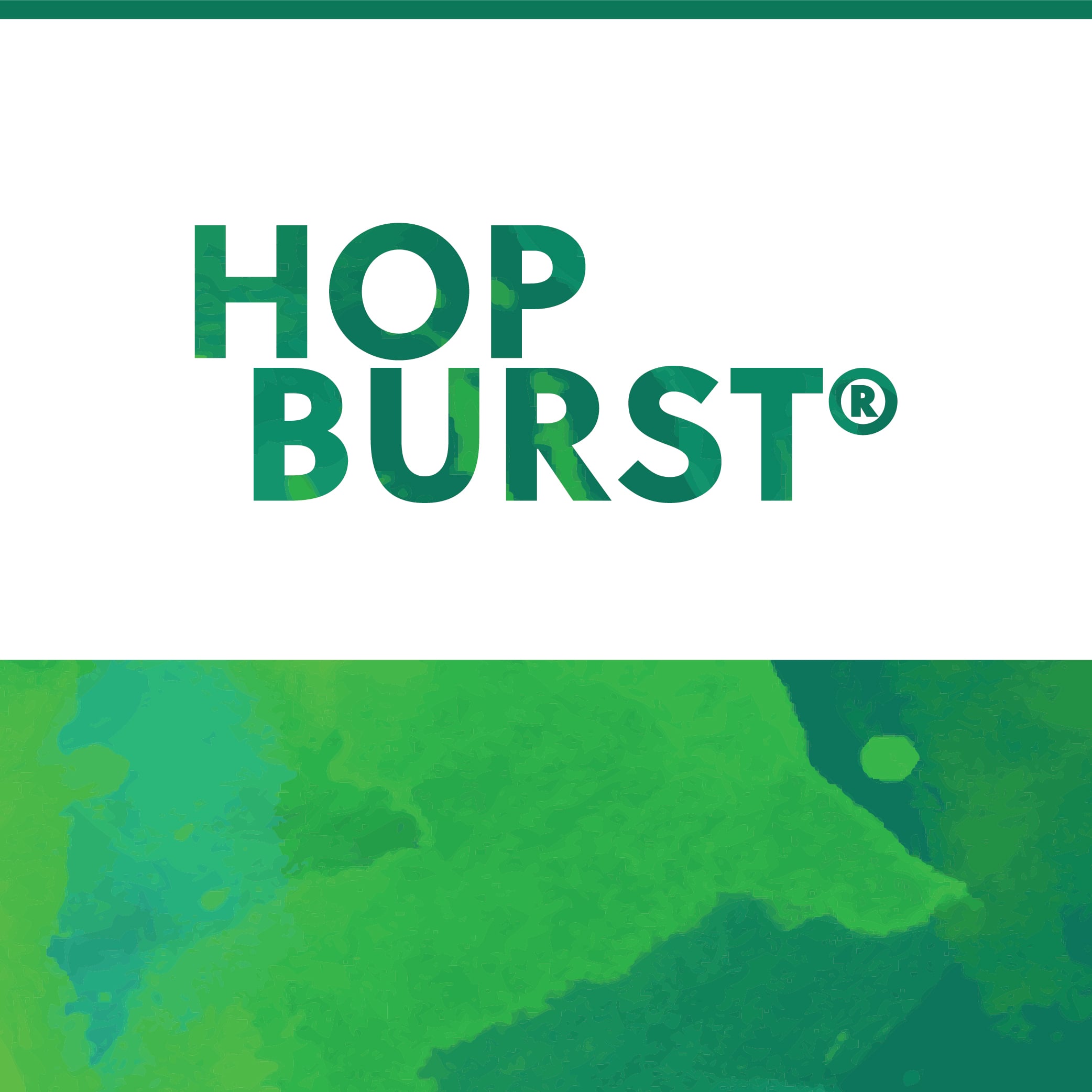 Picture of TNS HopBurst® Citrulicious Hop Oil 1L