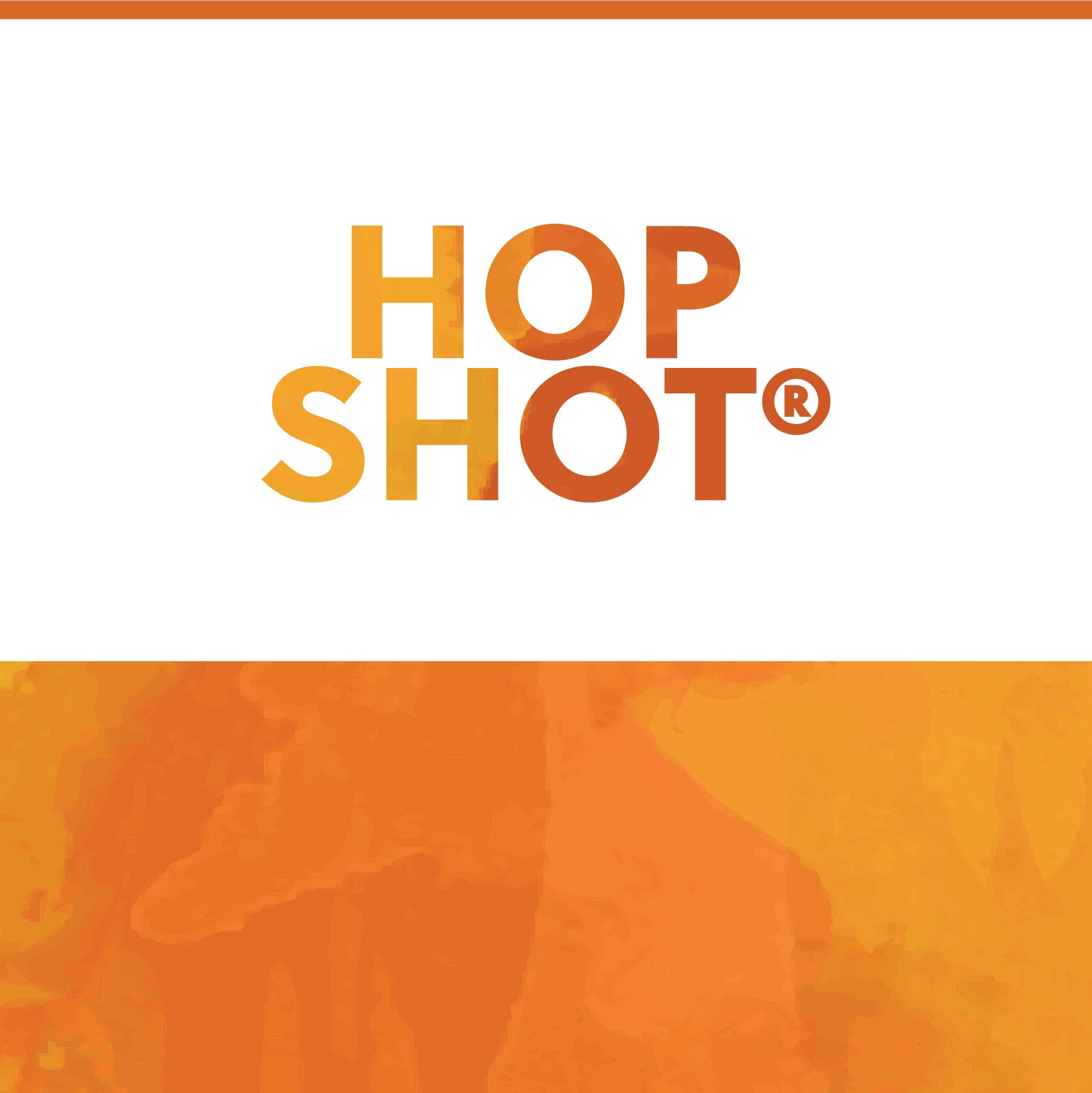 Picture of TNS HopShot® Lager 1L