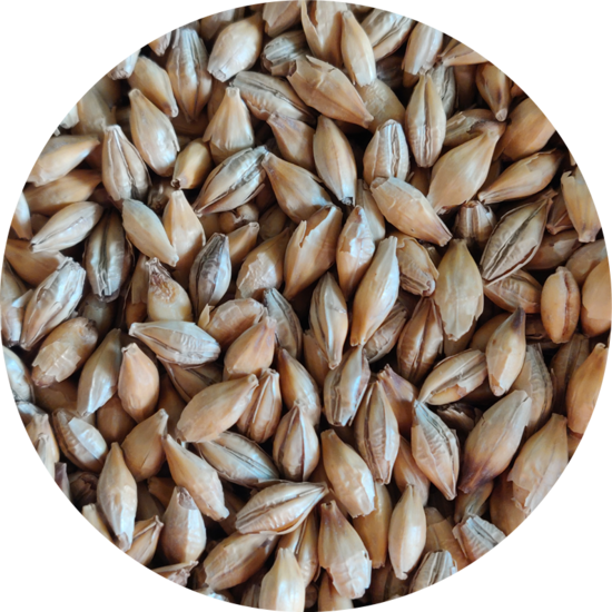 Picture of Crisp Chit Malt