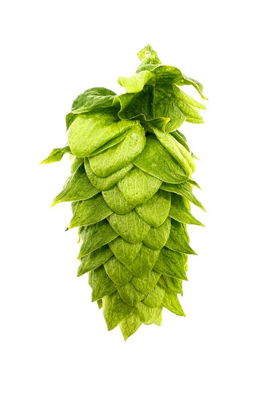 Picture of Erebus™